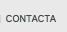 Contacta