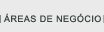 &Aacute;reas de Negocio
